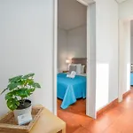 4 Holiday home